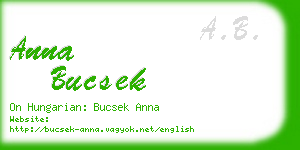 anna bucsek business card
